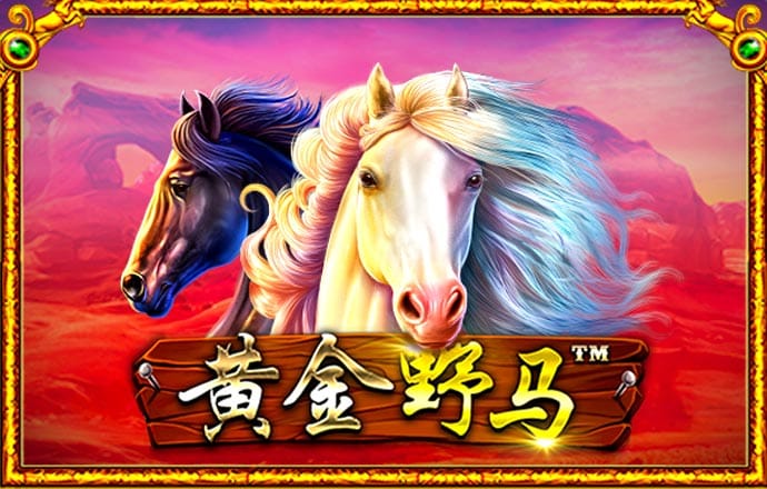 宝威体育官网入口网页